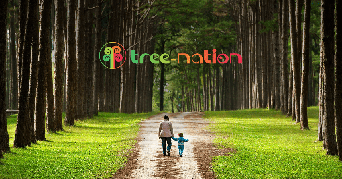 Lire la suite à propos de l’article Premier arbre Biopooltech planté sur Tree nation