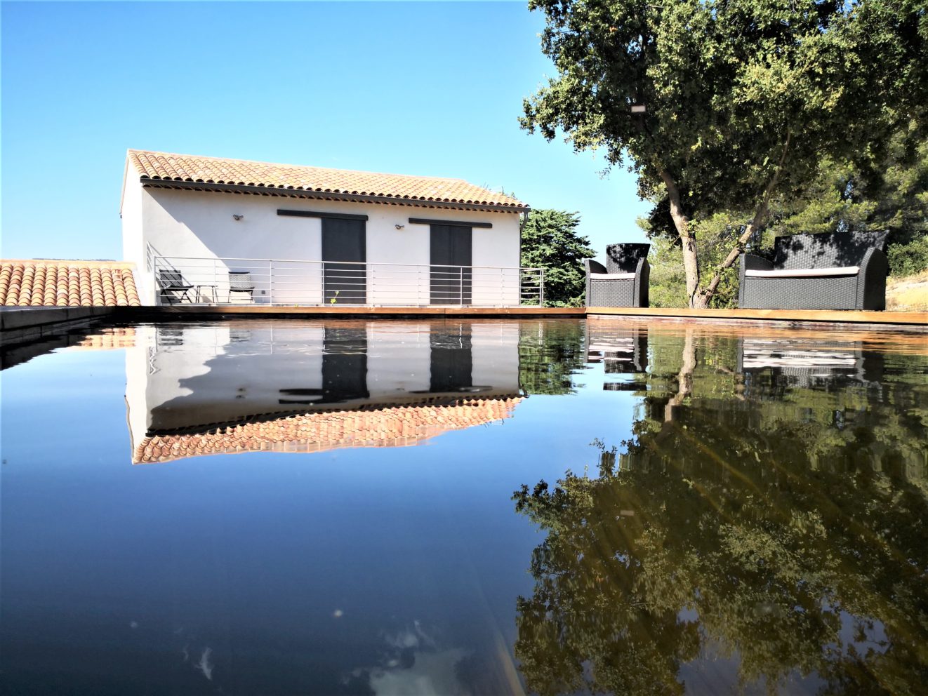 piscine_bois_biopooltech_effet_miroir