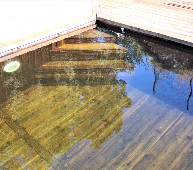 piscine biopooltech naturelle en bois et connectée, escalier d'angle