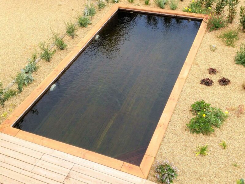 piscine biopooltech naturelle en bois et connectée